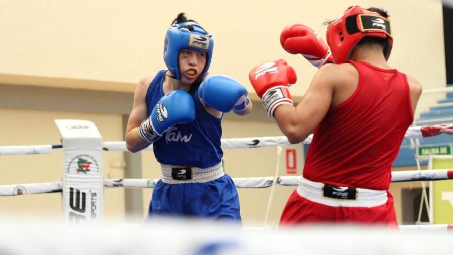 Van boxeadores tamaulipecos a Festival Olímpico