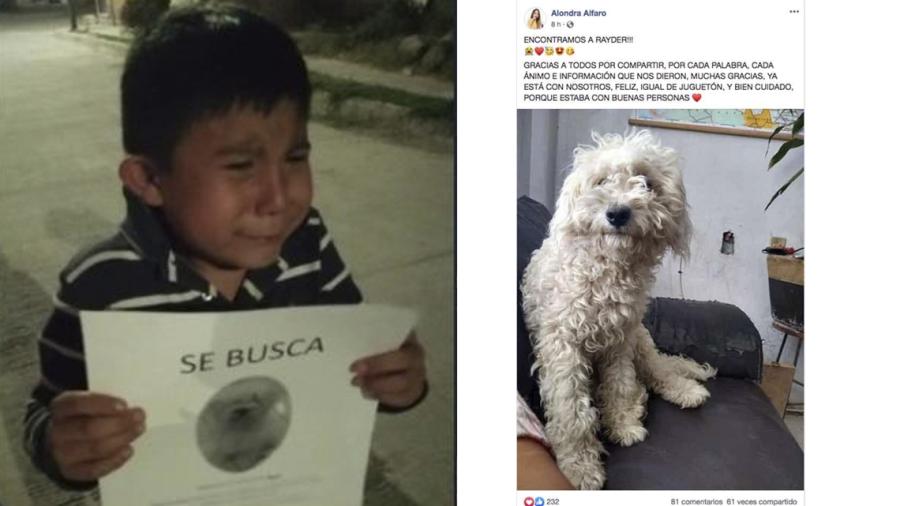¡Encuentra a su perrito! Localizan a 'Ryder', perrito del niño que lloró al buscarlo en SLP
