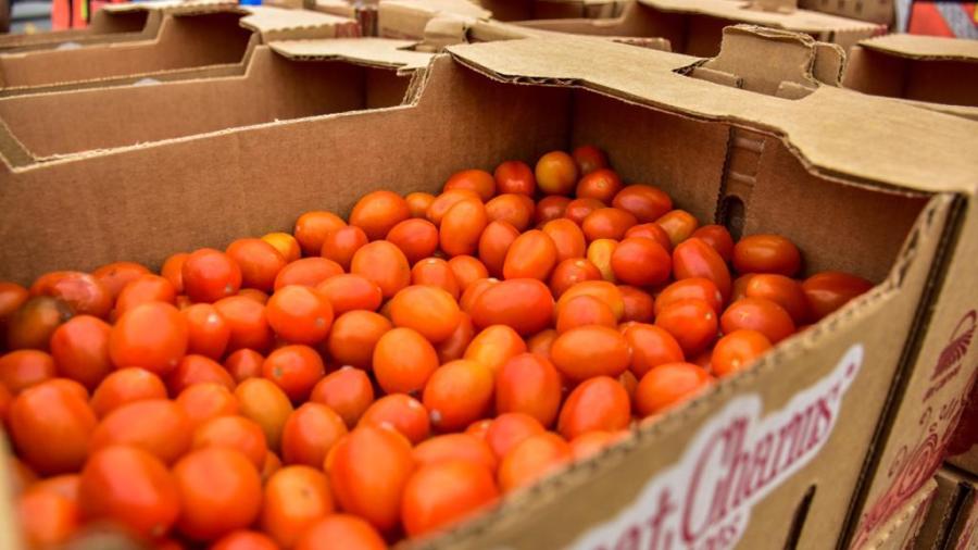 Agradece DIF Reynosa donación de tomate