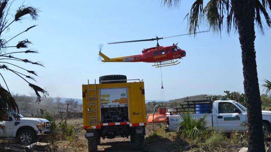 Se incrementan los incendios forestales al sur de Tamaulipas