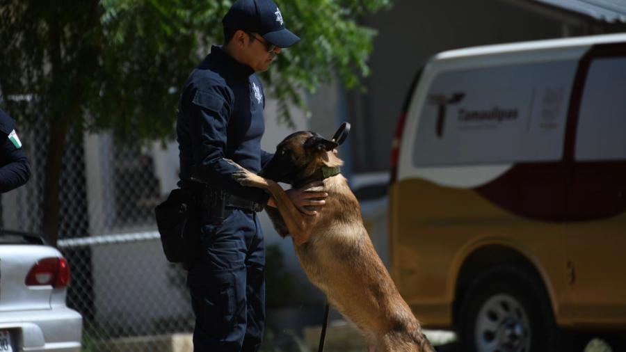 Destaca labor de agentes canófilos en Seguridad Pública 