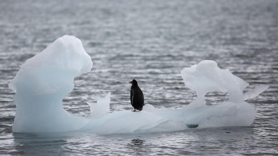 Deshielo en el ártico retrasará calentamiento global y elevará el mar