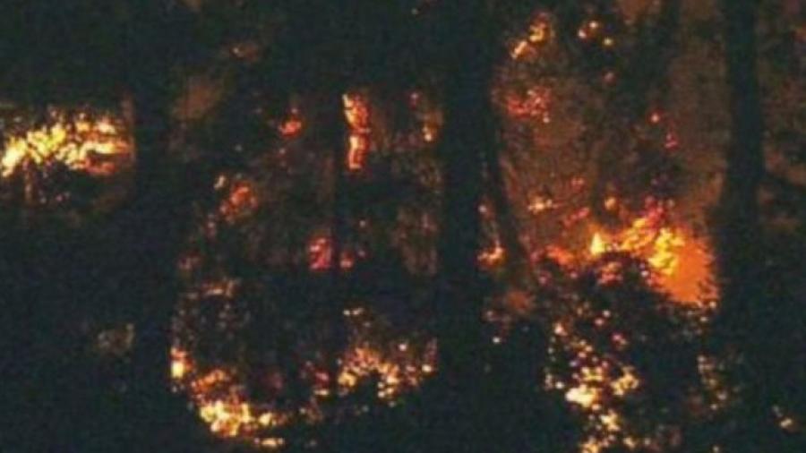 Suicida roba y estrella avión en Seattle