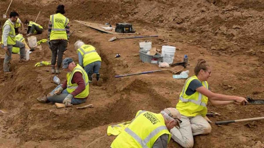 Descubren fósil de dinosaurio en sitio de construcción