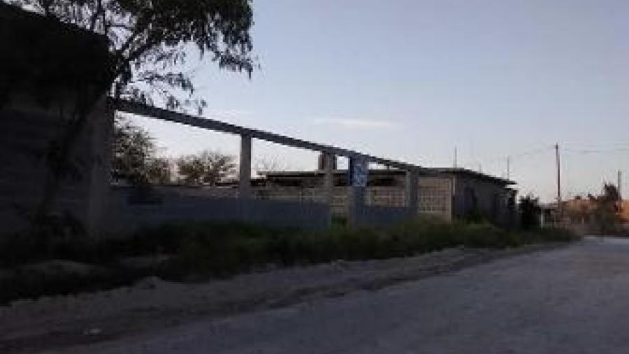 Ladrón sube a un árbol tras ser descubierto robando en una casa