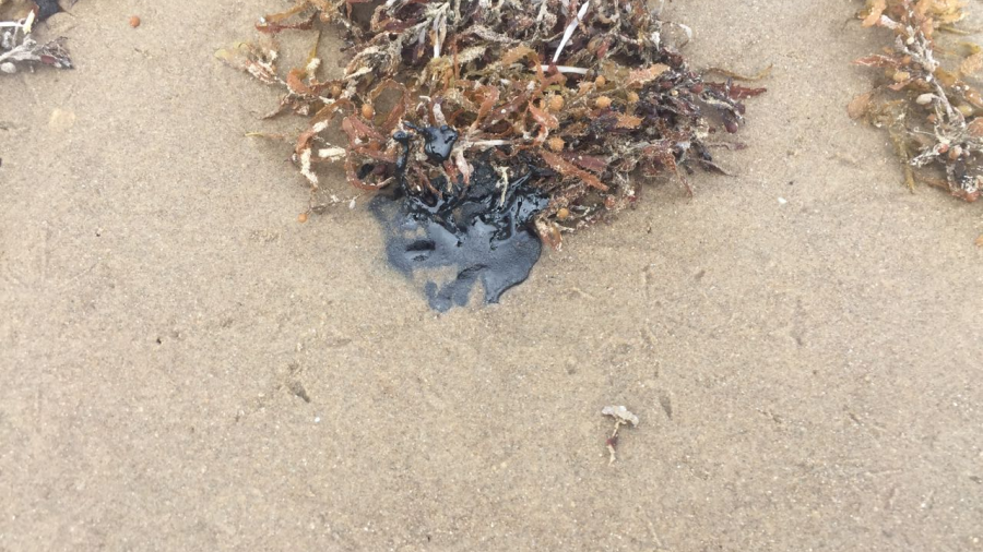 Aparecen manchas de chapopote en la playa Bagdad