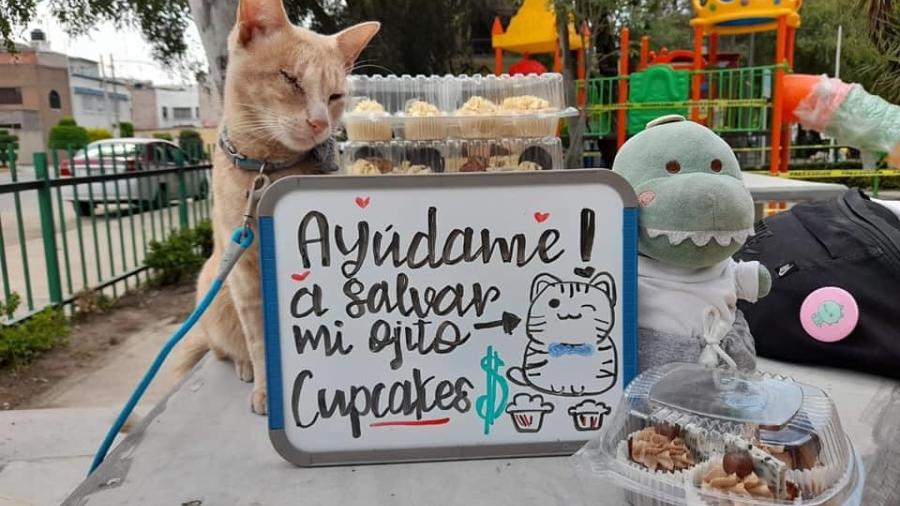 “Antonio” vendió cupcakes para poder salvar su ojo 