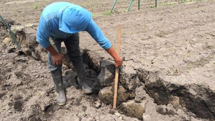 Afecta sismo a productores de Xochimilco