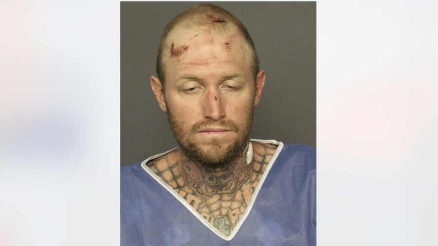 Hombre roba tractor y muerde a un perro policía