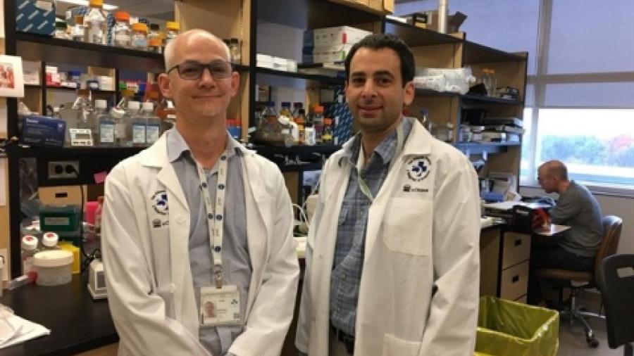 En Canadá preparan tratamiento que podría curar ciertos tipos de leucemia