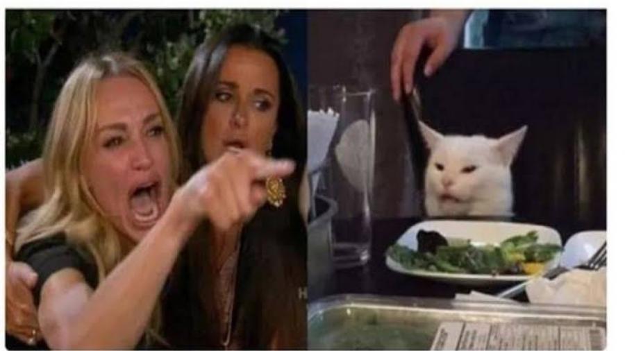 aJDGdzi5j1uJ0MnYUFAp.jpg
