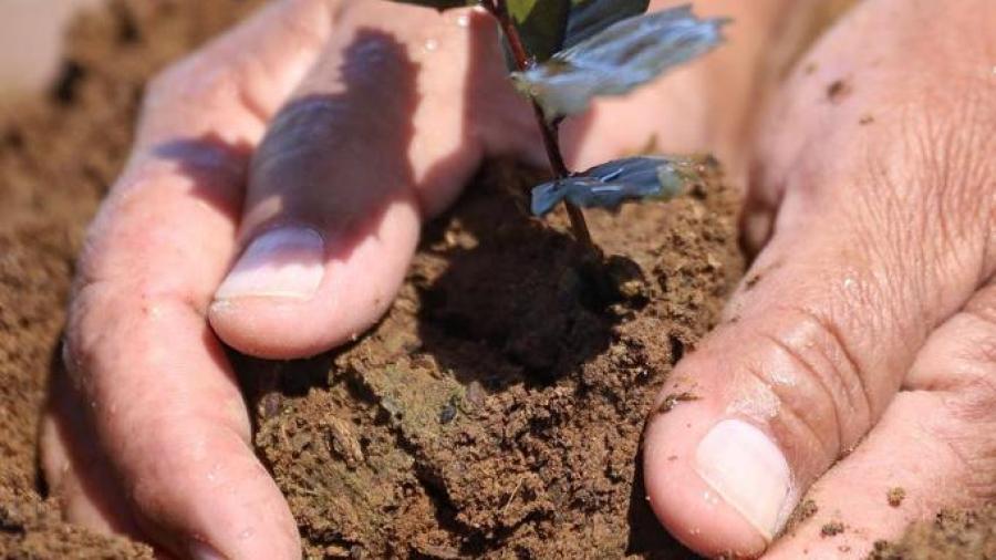 Reactivar&aacute;n pl&aacute;ticas de concientizaci&oacute;n sobre el medio ambiente en escuelas 
