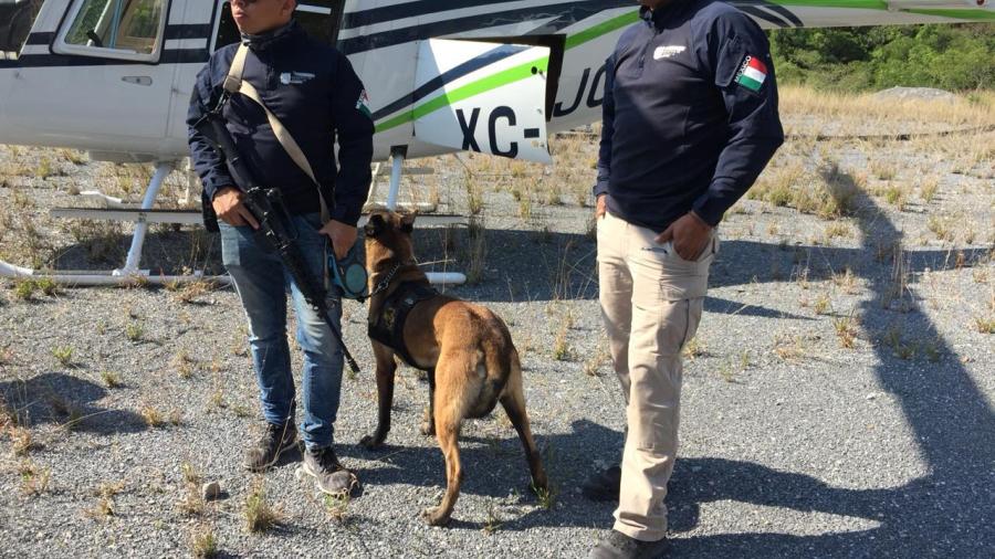 Convocan a comunidad a sumarse en búsqueda de desaparecido