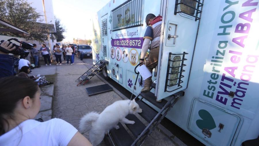 Arranca sexta campaña de esterilización gratuita