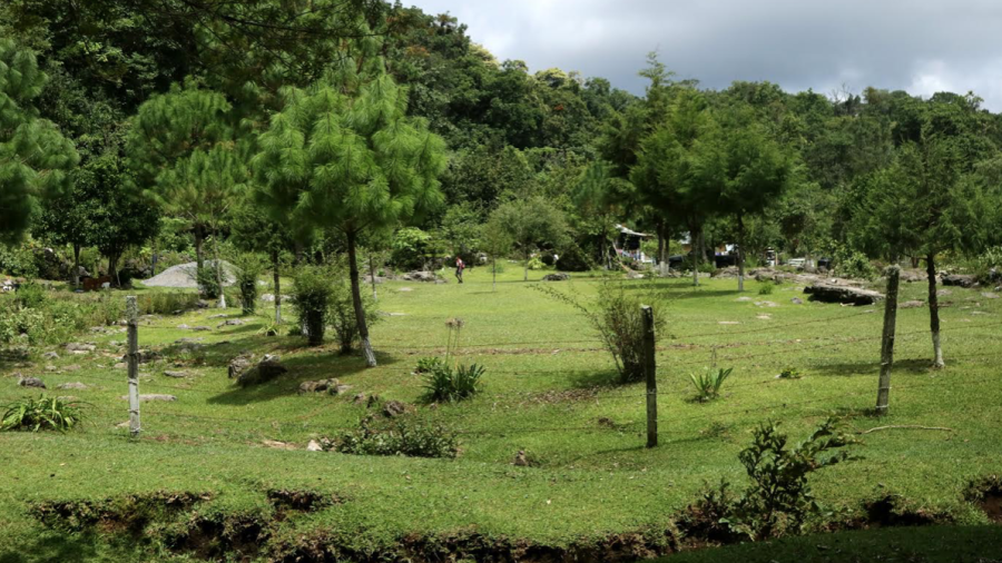 D&iacute;a Internacional de los Bosques, &ldquo;Bosques y  Biodiversidad&rdquo;