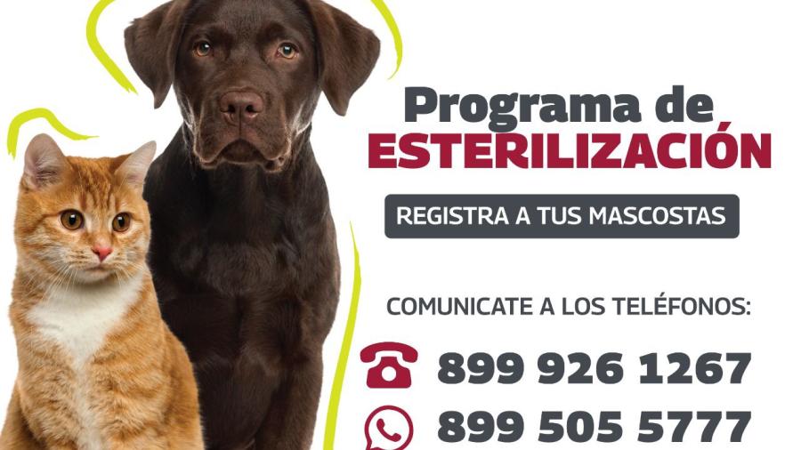 Invita Alcalde Carlos Peña Ortiz a programa de Esterilización de mascotas 