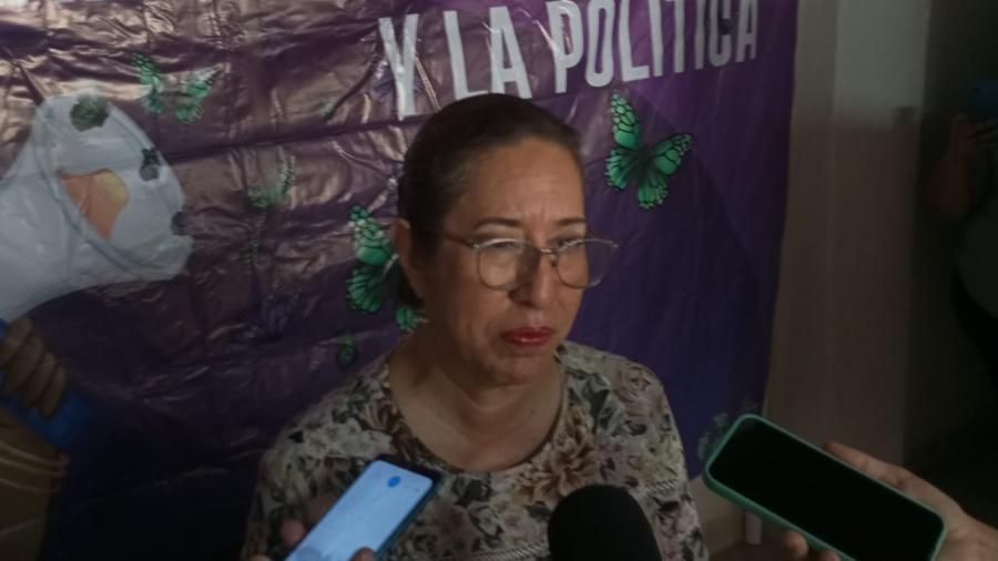Sumaremos más de 300 mil simpatizantes a Morena: Lupita Gómez