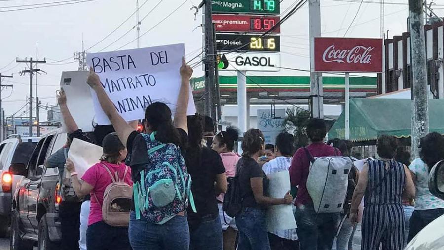 Mujeres piden liberar a los caballos explotados por carretoneros
