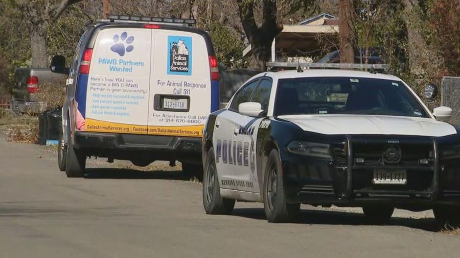 Detienen a la dueña de los pitbulls que atacaron a mujer
