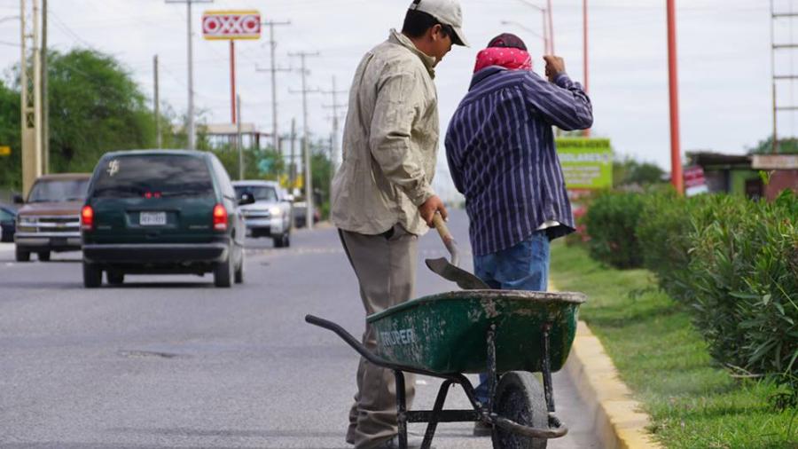 SPP realiza labores de limpieza y mantenimiento