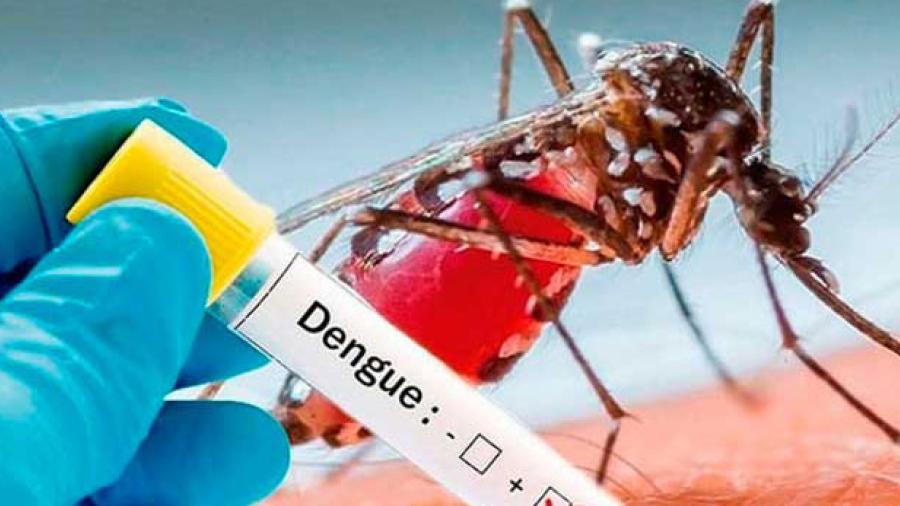 Tamaulipas se posiciona en 6 lugar nacional con 390 casos de dengue