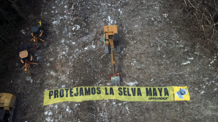 No hay activismo ambientalista por el Tren Maya sino "oposición politiquera": AMLO 