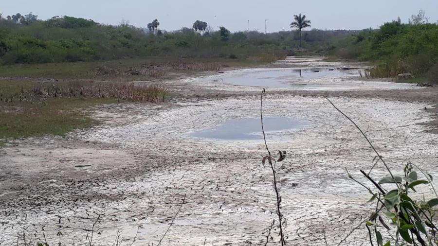 Bajos niveles de agua generan problemas a zona rural de Altamira