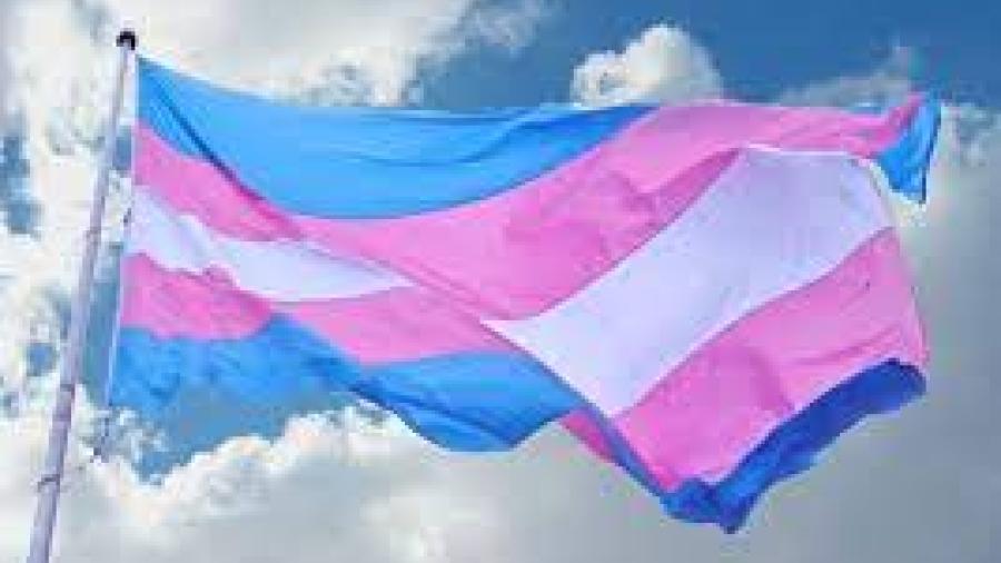 Respetarán género de padres trans en actas de nacimiento en Israel