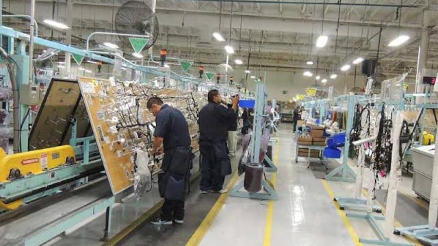 Cerca de 240 mil trabajadores del IMSS recibirán pago de utilidades este mes