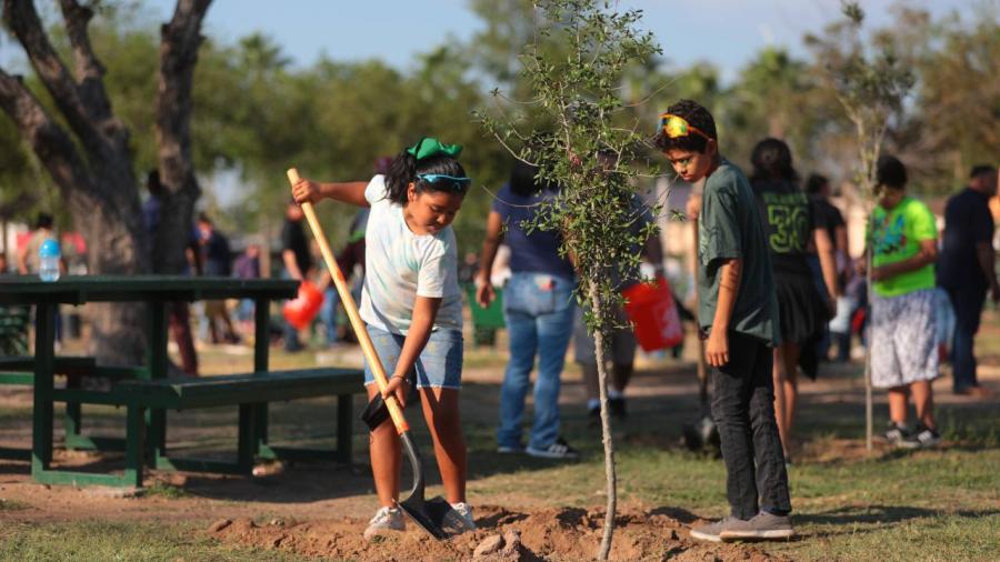 Reforestan espacios públicos con programa Municipal “Sembrando vida”