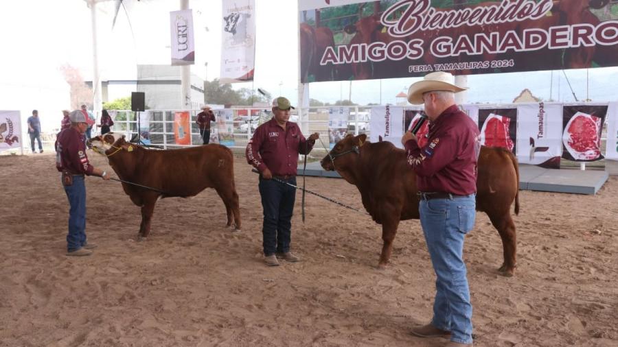 Feria Tamaulipas será sede del Segundo Concurso del Novillo Gordo