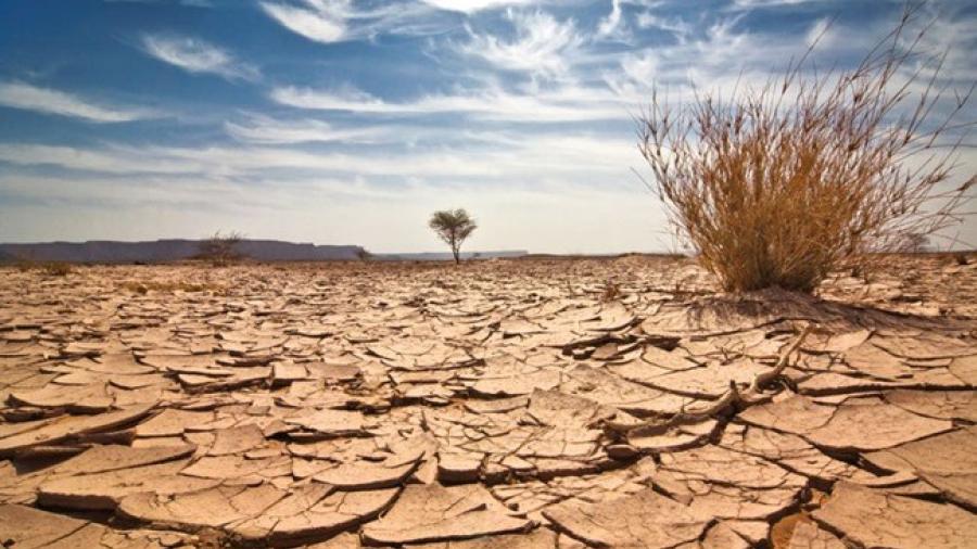 Aumentarán muertes por cambio climático