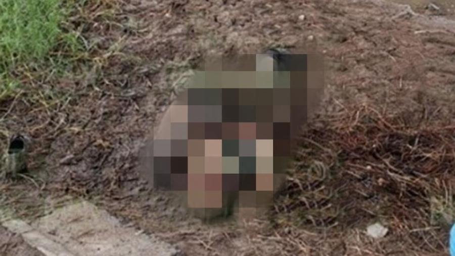 Hallan muerto y golpeado a anciano que tenía unos días desaparecido