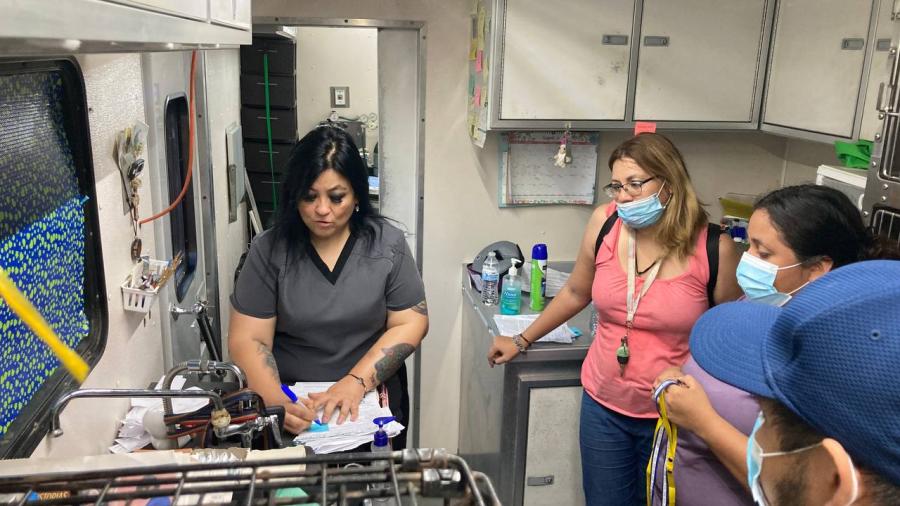 Inicia campaña de Esterilización gratuita de 200 mascotas 