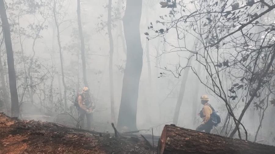 Incendio en sierra de Hidalgo arrasa 190 hectáreas
