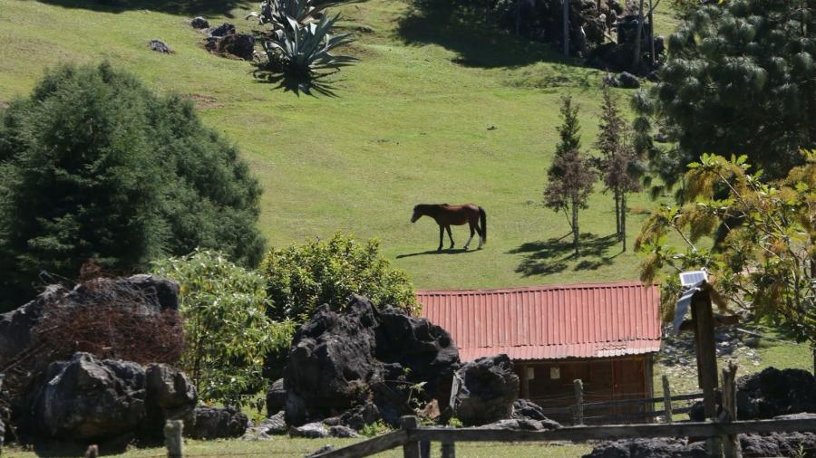 Reafirman compromiso por la biodiversidad en El Cielo