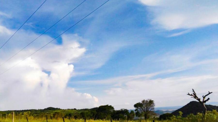Clima en Tamaulipas: ¿Cuál es el pronóstico para este lunes 8 de diciembre?