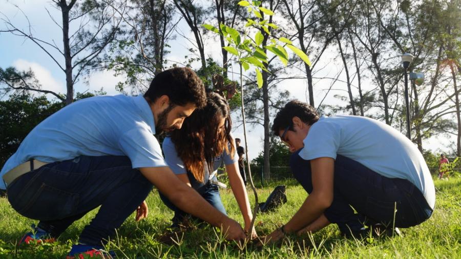 Emprenden en Tampico Jornadas de Reforestación 