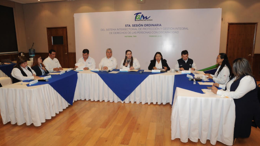 Eligen a nuevos integrantes del Consejo Consultivo de SIPRODDIS