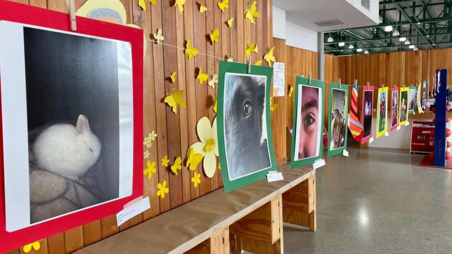 Invitan a seguir conmemorando con nuestra fotogr&aacute;fica a personas con s&iacute;ndrome de down