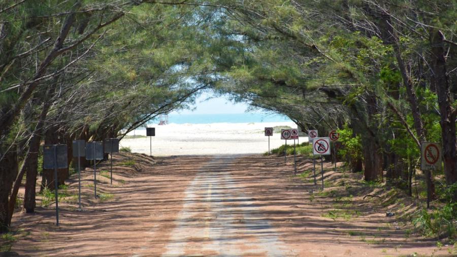 Turismo Tamaulipas anuncia reapertura parcial de playa Tesoro