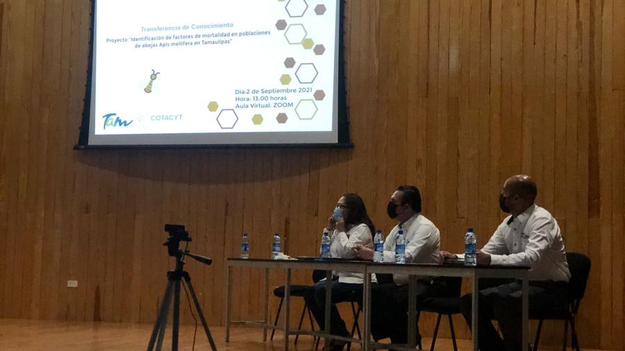 Colabora IPN con apicultores para frenar disminución de abejas