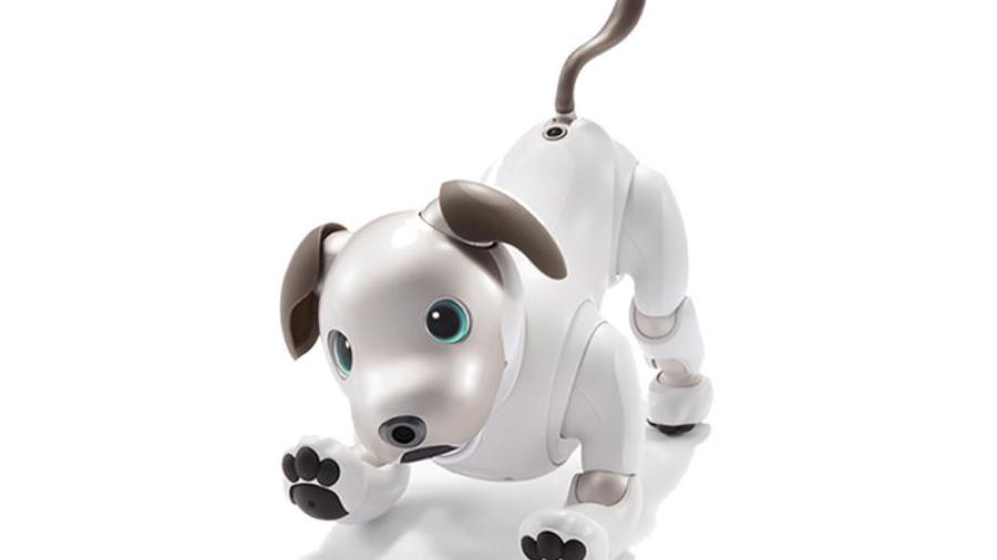 Sony presenta un nuevo y mejorado Aibo