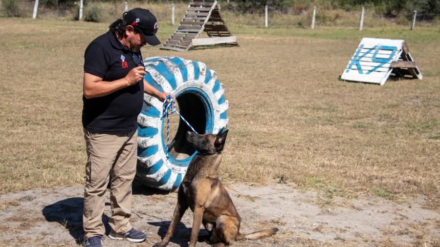 Implementa la UAT cursos de adiestramiento canino