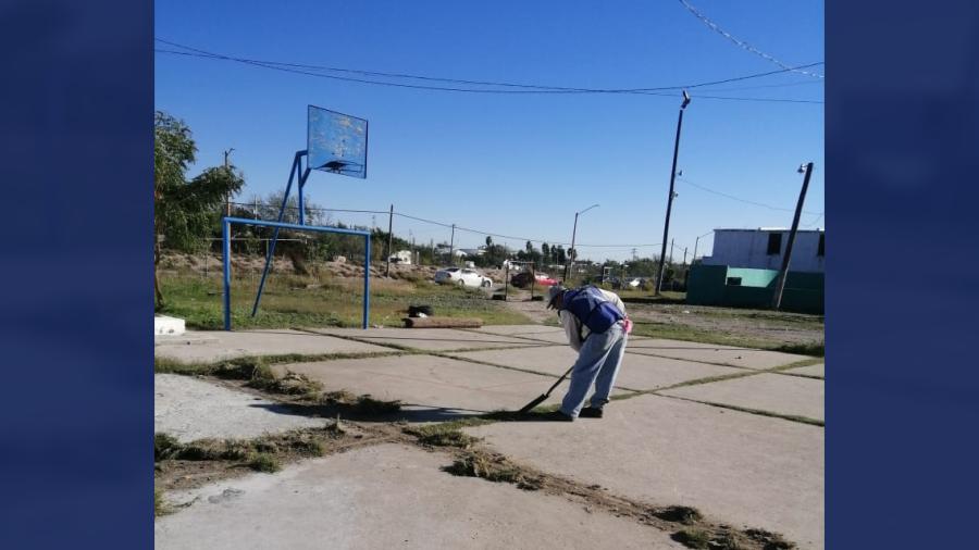 Sanea áreas verdes Gobierno Municipal de Reynosa