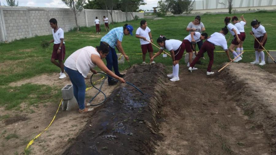 Ubica tu camión recolector de basura