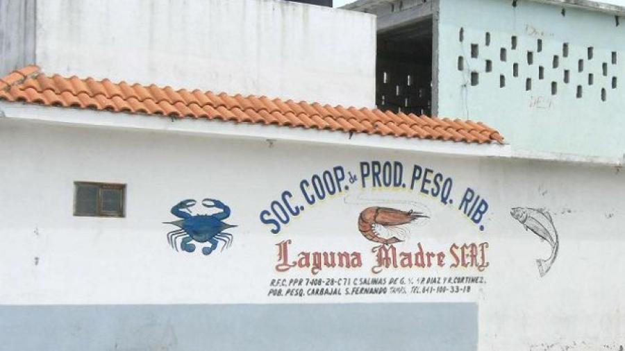 Sugieren modificar veda del camarón