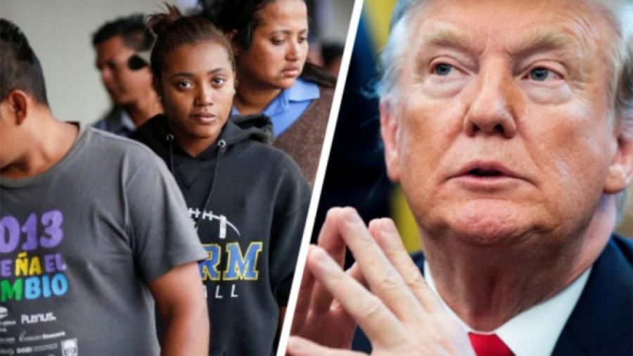 Migrantes indocumentados aseguran haber trabajado para Trump