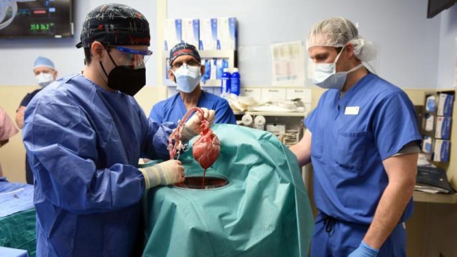 Fallece el hombre que recibió el primer trasplante de corazón de un cerdo 