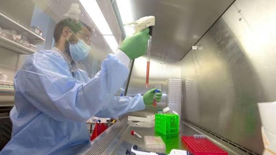 Brasil confirma el primer caso de la subvariante ómicron XE